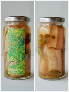 2025年度「しなぷなピクルス」販売開始のお知らせ