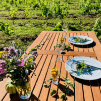 「しなぷな農園」紹介のショート動画