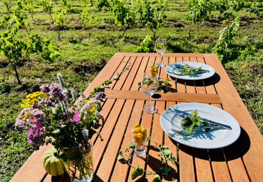 「しなぷな農園」紹介のショート動画