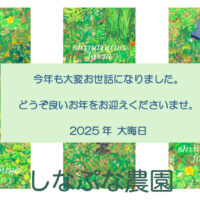 2025年末のご挨拶