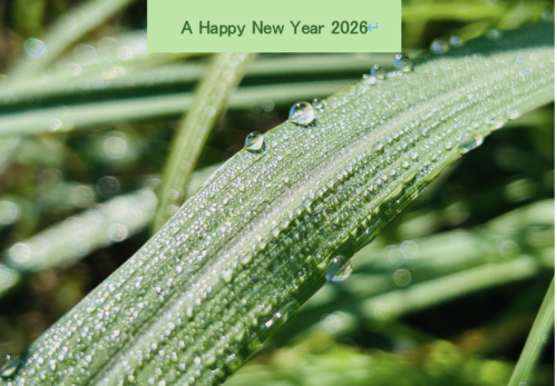 2026 新年のご挨拶