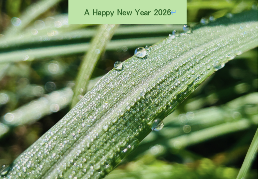 2026 新年のご挨拶
