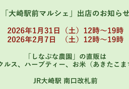 2026冬 マルシェ参加のお知らせ